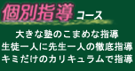 ��p�̌ʎw��